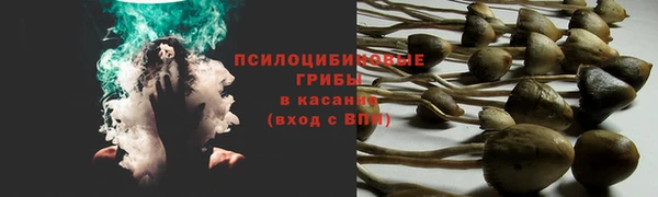 а пвп мука Покачи