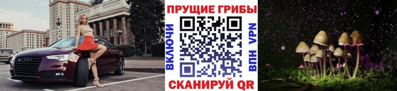 Псилоцибиновые грибы мухоморы  Костомукша 